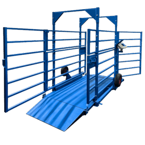 Весы для взвешивания КРС ВСП4-ЖСО